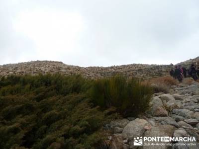 La sierra de Paramera - Castillo de Manqueospese / Aunqueospese - Castro Celta de Ulaca; rutas burgo